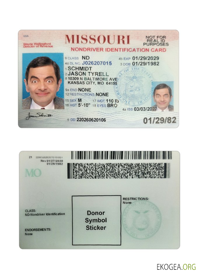 Carte d'identité du Missouri aux États Unis